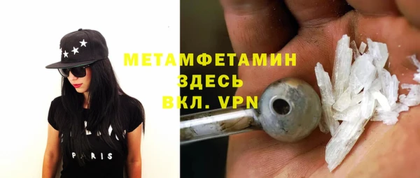 прущие грибы Балабаново