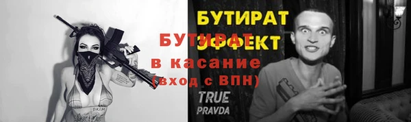 прущие грибы Балабаново