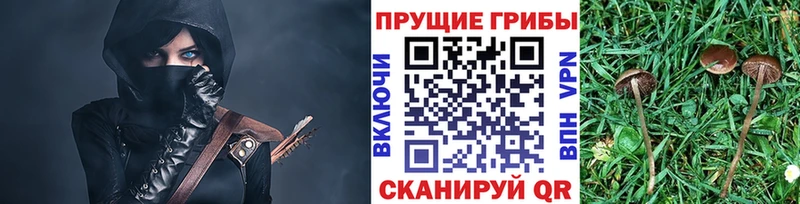 Галлюциногенные грибы Psilocybine cubensis  hydra рабочий сайт  Буинск 